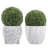 Set of 2 Faux Boxwood Topiary Balls – 6-Inch Lifelike Decorative Artificial Plant Accents