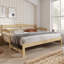 Lassen Solid Wood Daybed with Trundle
