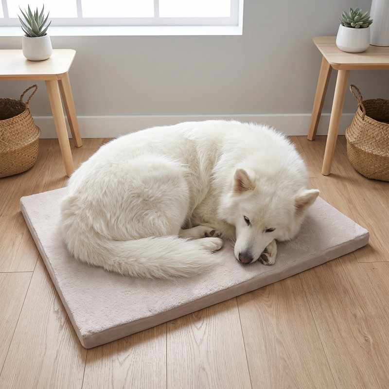 Lit pour chien Pawsy, L 31,5 po
