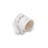 Zodiac Fine Porcelain Coffee Mug (Leo)