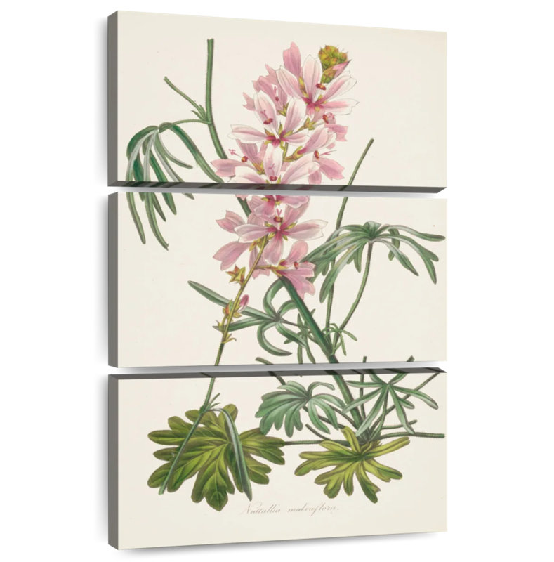 Harnek Antique Botanical I Cream