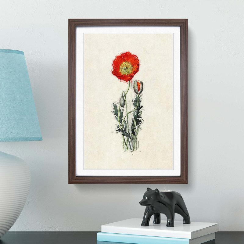 Illustration of a Poppy Flower - Picture Frame Painting Print, 36cm H x 27cm W x 2cm D, Walnut Framed