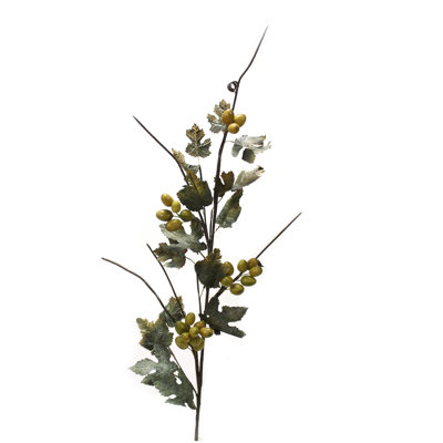 Branche de raisin sauvage - vert