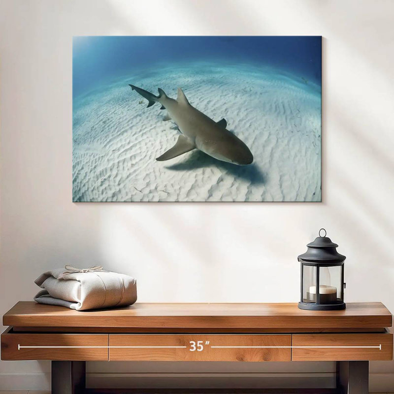 Brampt Lemon Shark Over The Seabed, 16" H x 24" W