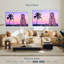 Palm Beach Sunrise-2073546329