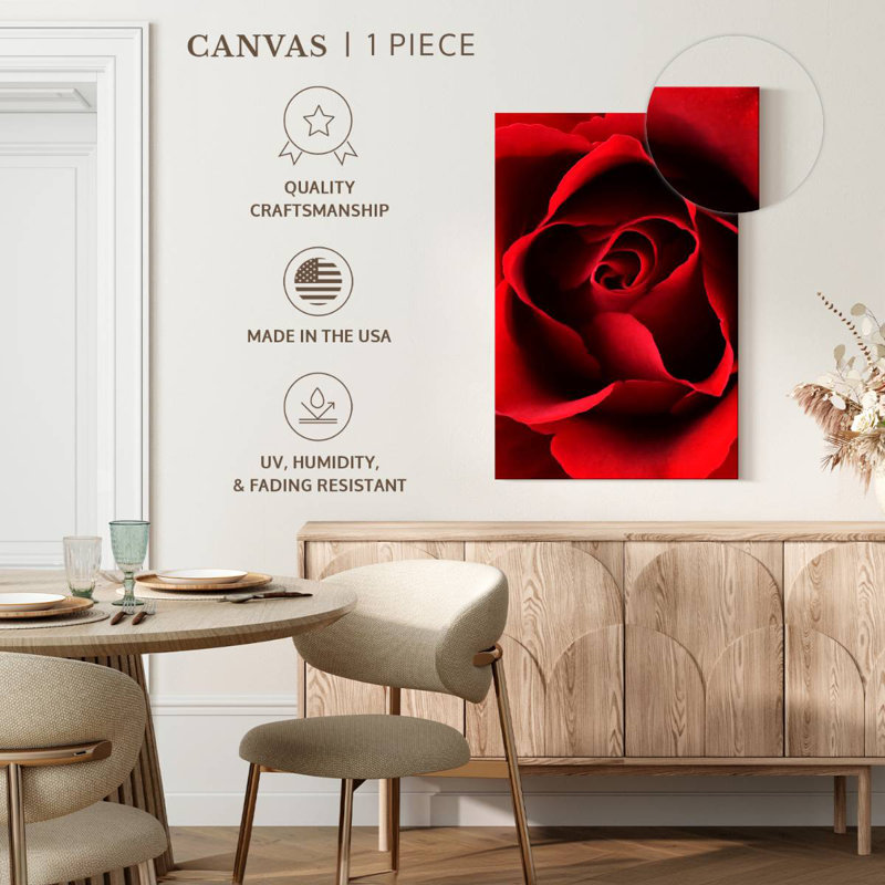 Harnek, gros plan, vue, rose rouge, H 51 po x l 34 po