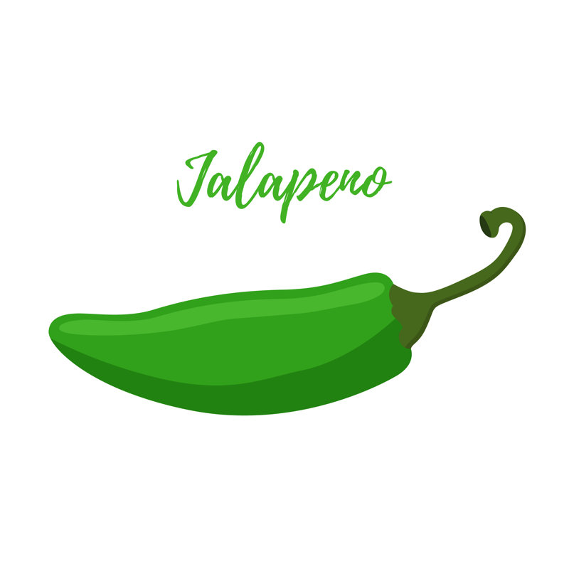 Flat Jalapeno by LeoPride - Wrapped Canvas Print, 30cm H x 46cm W x 3.8cm D