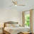 52" 3 - Blade Low Profile Smart Ceiling Fan With LED Lights And Remote Control Included