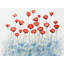Red Flowers in Blue Field Braided Placemat | Home Decor
