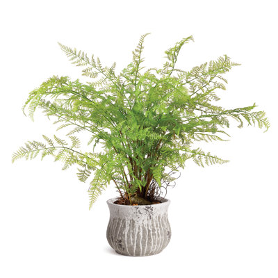 Killam Old-World Textured Ceramic Cachepot Vase in White/Gray