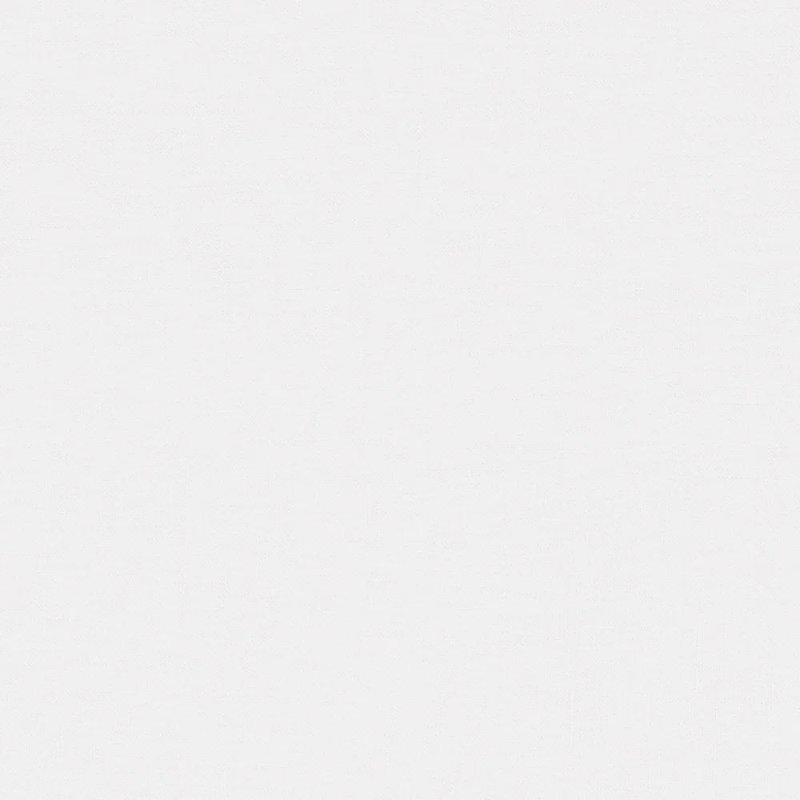 Art Of Home Sheeting Pillow Case, King Pillowcase Pack, White