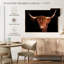 Vache écossaise Highland-518543476-518543483