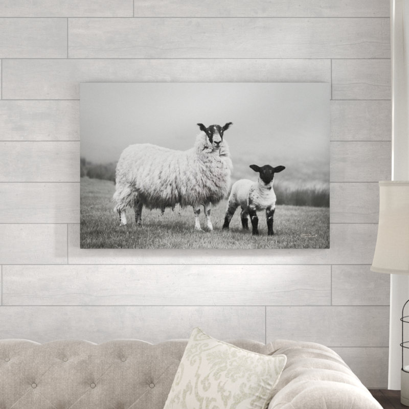 Islay Sheep I par Laura Marshall - photographie sur toile, H 24 po x l 36 po