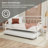 Ramon Metal Twin Daybed with Roll Out Trundle-1779171576