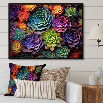 Plantes grasses vertes, bleues et abstraites