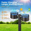 Polished Nickel Solar Powered Pathway Light