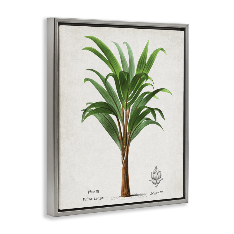 Cadre flottant Palmas Longas Palm, design par Val Rhodes, H 31 po x l 25 po, Cadre flottant gris lustré