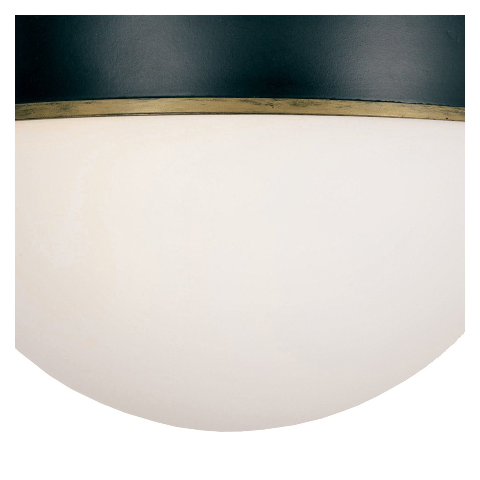 Marie Matte Black 12" W Outdoor Ceiling Mount