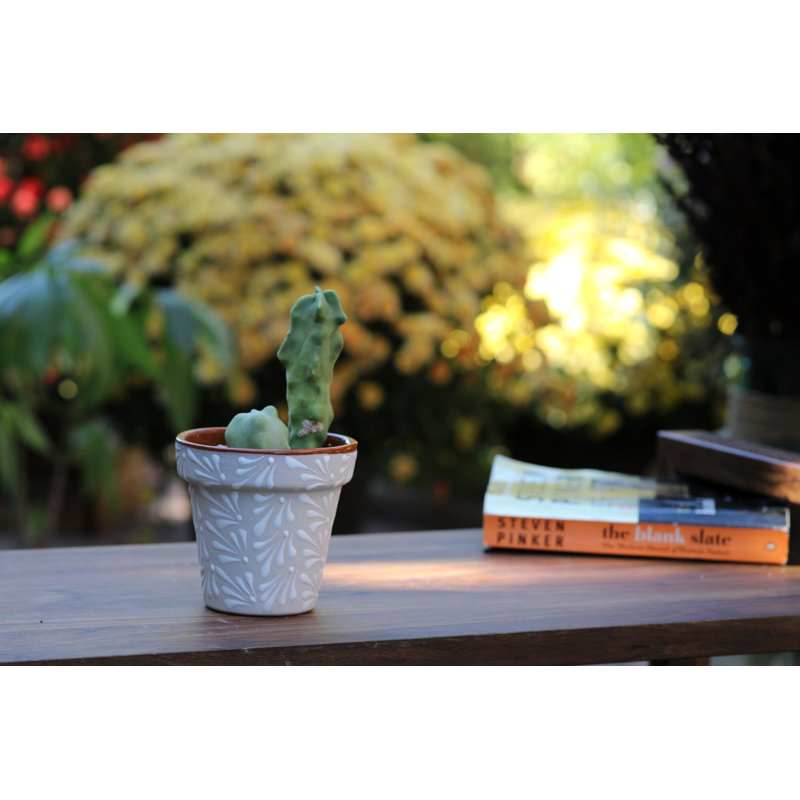 Vase de jardin en céramique émaillée, petit pot de fleurs (lot de 2) - Intérieur/Extérieur, Chrysanthemum Terra Cotta