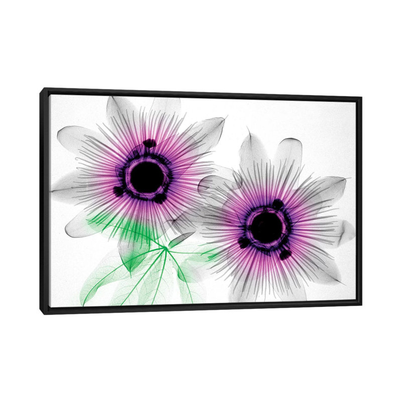 «Passion Flowers», impression sur toile, H 18 po x l 26 po x P 1,5 po, Toile avec cadre noir, Pas de tapis