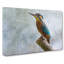 Graceful Kingfisher Bird Painting - Wrapped Canvas-56658290
