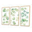 Illustration de feuilles d'eucalyptus isolées sur fond blanc I - Ensemble de 3 toiles encadrées traditionnelles-1395588610-1395588637