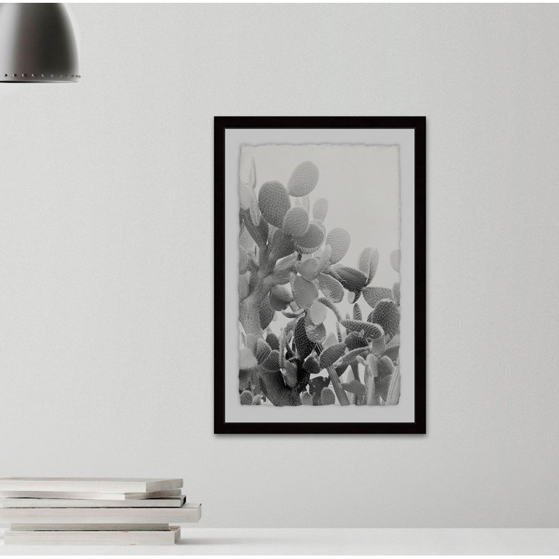 « round succulent radicales », impression encadrée sur papier, H 12 po x l 8 po x P 1,5 po