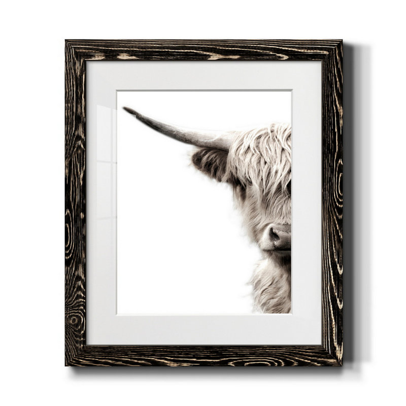 Bétail des Highlands - reproduction de photo, Papier encadré noir, H 24 po x l 18 po x P 1,5 po, Blanc