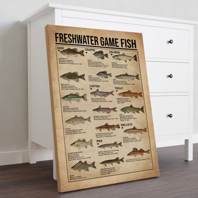 Freshwater Game Fish Gallery Wrapped Canvas - Animal Fish Knowledge Illustration Decor, Grey And Green Home Decor