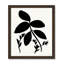Silhouette Garden II by Susan Jill-59853271-59853270