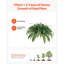 60cm Faux Fern Plant-1788137181-1788137152