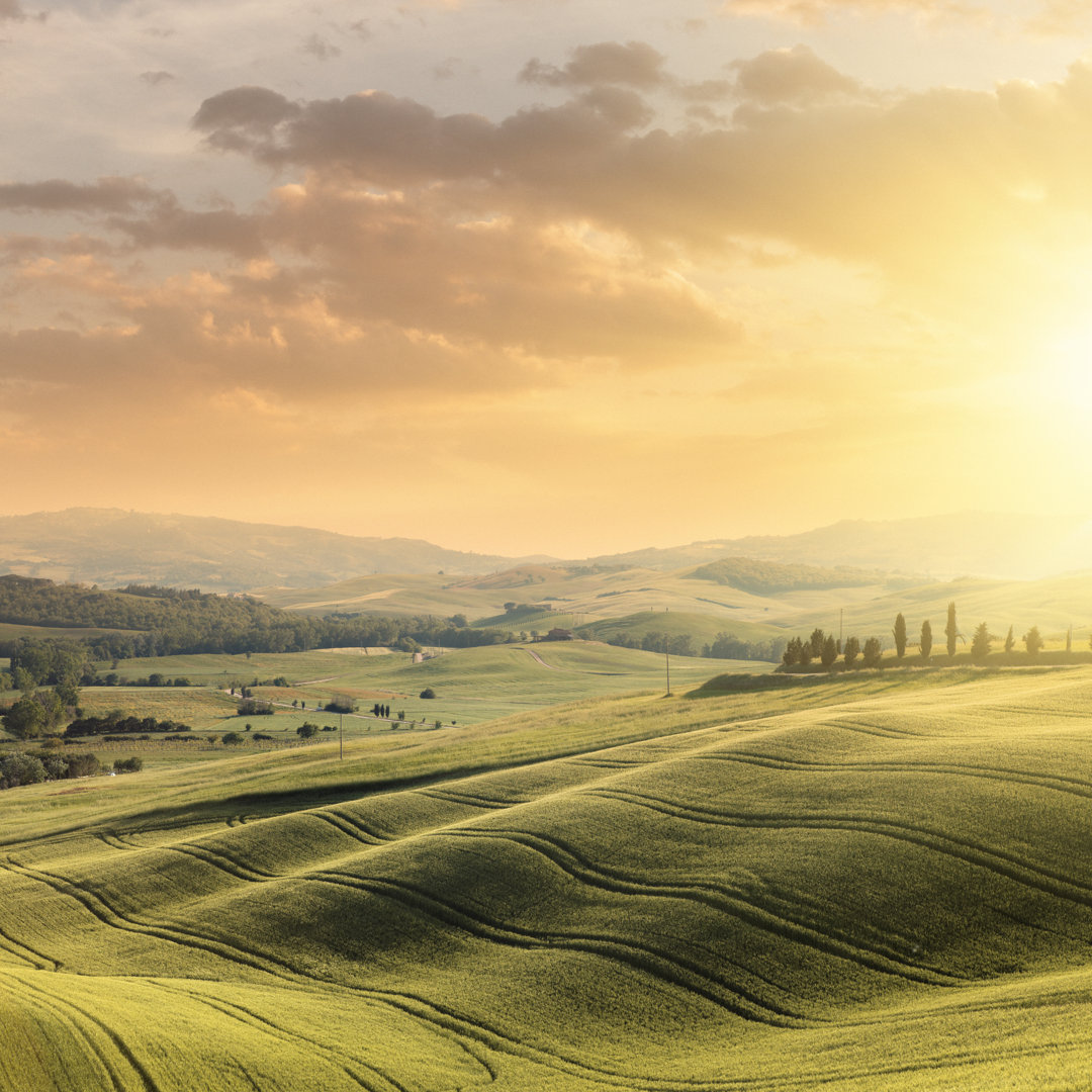 Sonnenuntergang in der Toskana - Leinwandbild