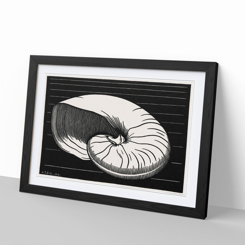 Shell by Julie De Graag - Picture Frame Painting, Black Framed, 48cm H x 65cm W x 2cm D