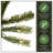 Jersey 7.5' Pre-Lit Fir Tree