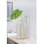 Tige de feuille Monstera