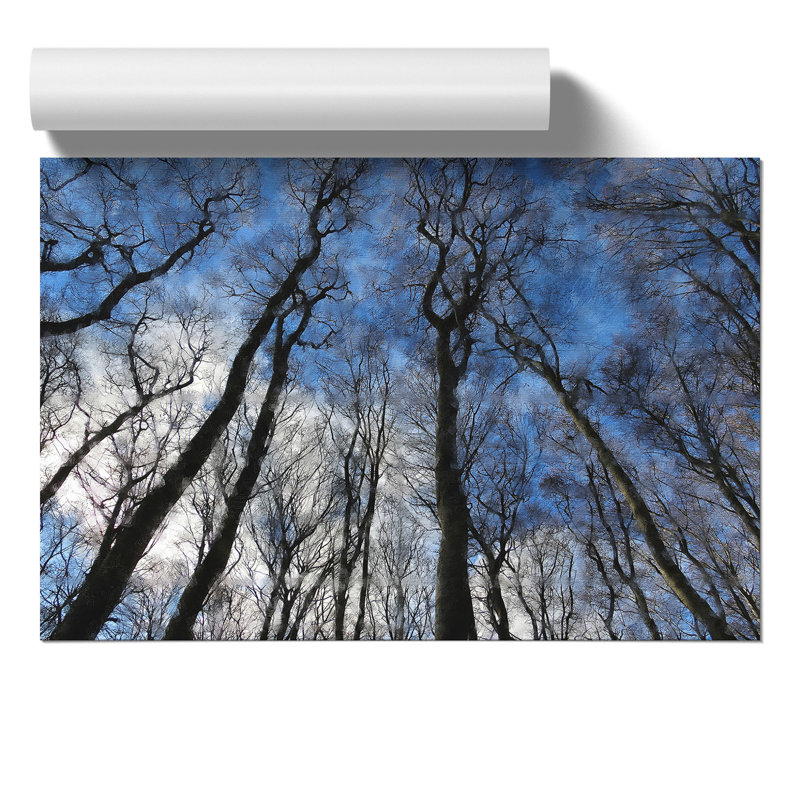Beautiful Forest - No Frame Painting, 30cm H x 42cm W x 0.1cm D