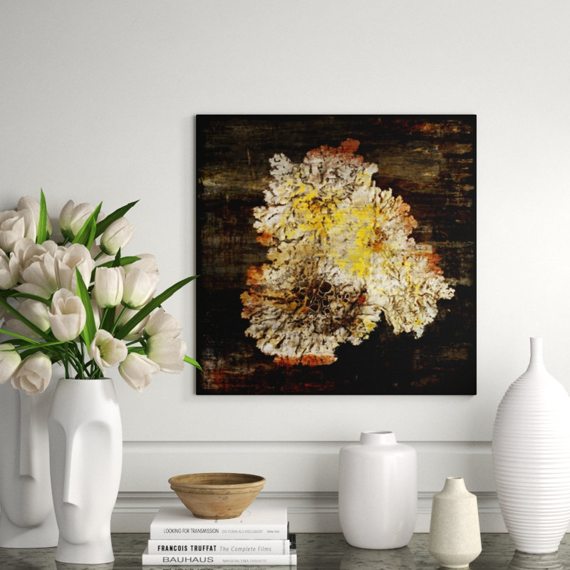 Charistmatic Creature II Print by Chelsea Art Studio, 24" H x 24" W, Plexi