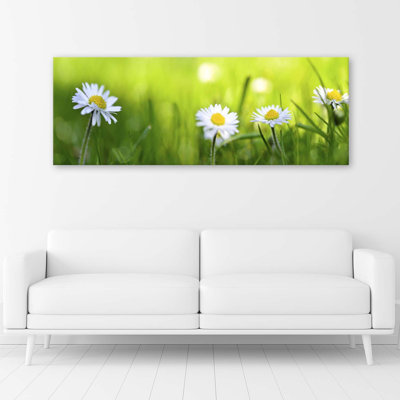 Daisies In The Grass - No Frame Print on Canvas