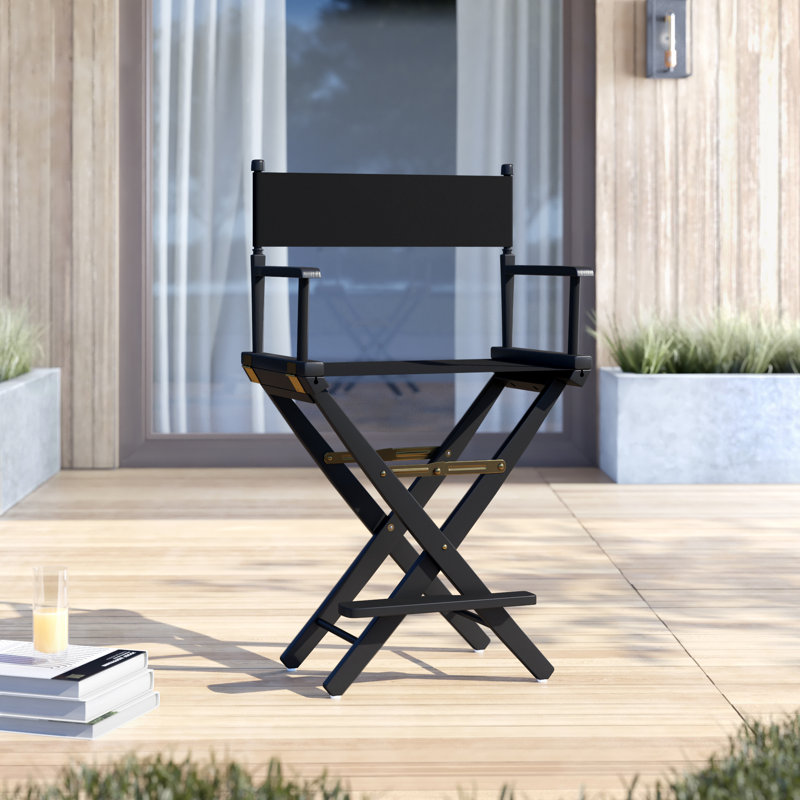 Alyzon Folding Director Chair, Black, Black