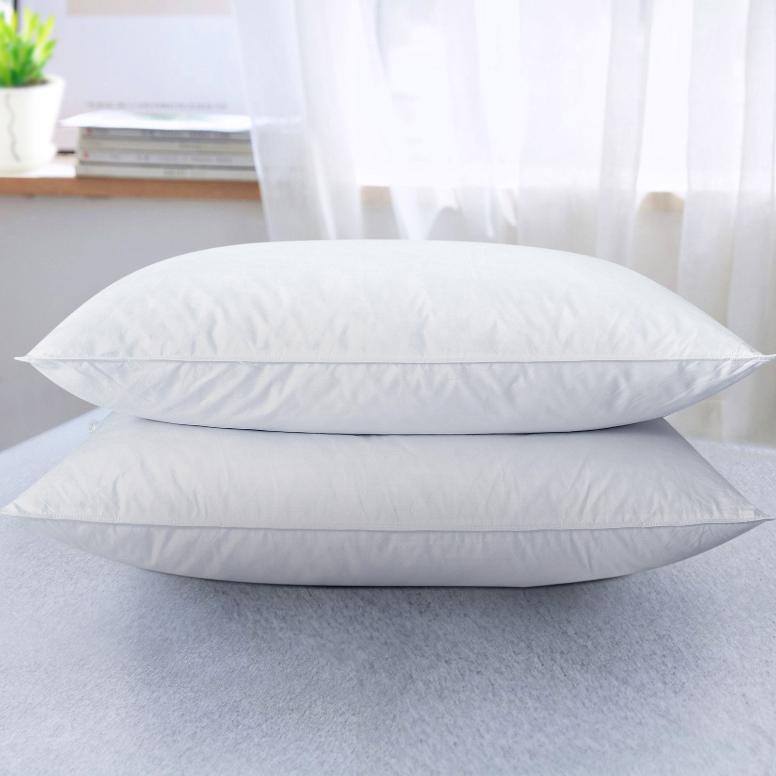 Plush Feather Pillow, Standard