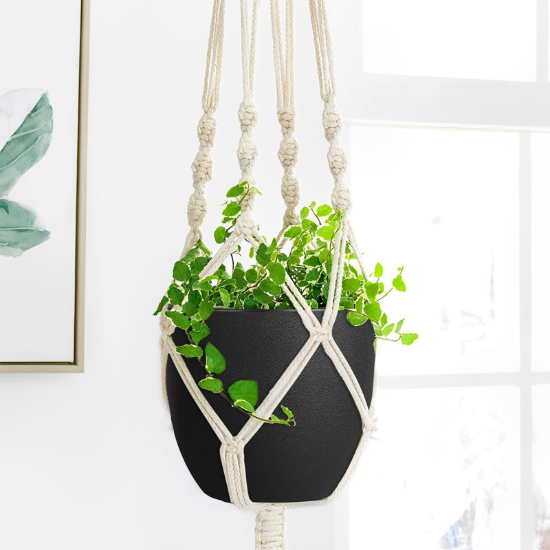 Ensemble de 2 pots à fleurs 8 "- pots de fleurs noirs avec drainage