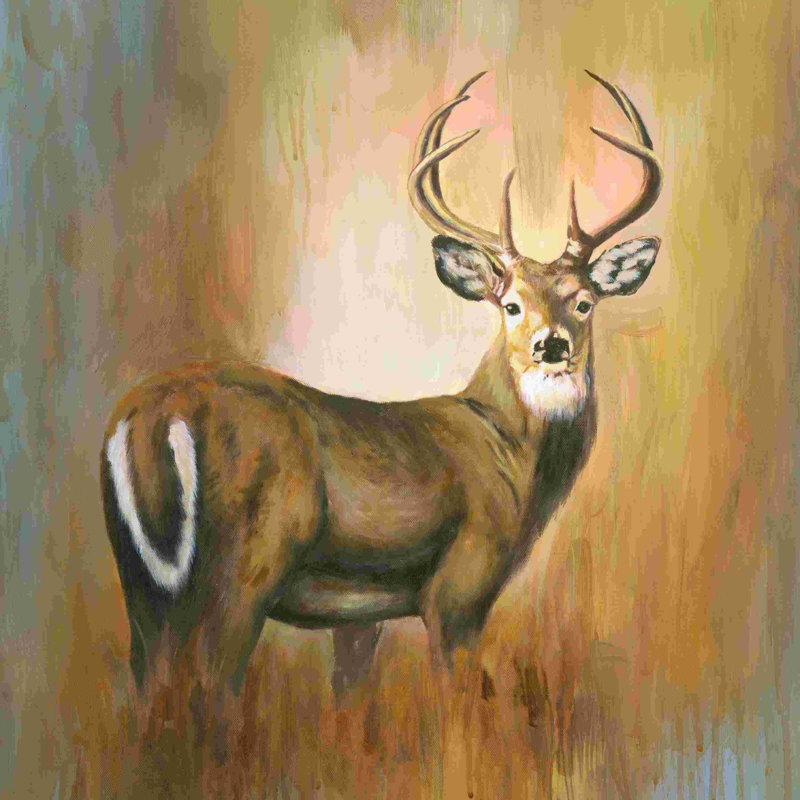 Cerf de Virginie peint, H 30 po x l 30 po x P 1,25 po