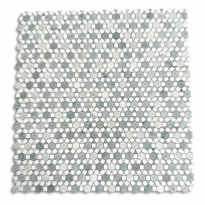 Thassos White Marble 12 in. x 11 in. Marble Tile