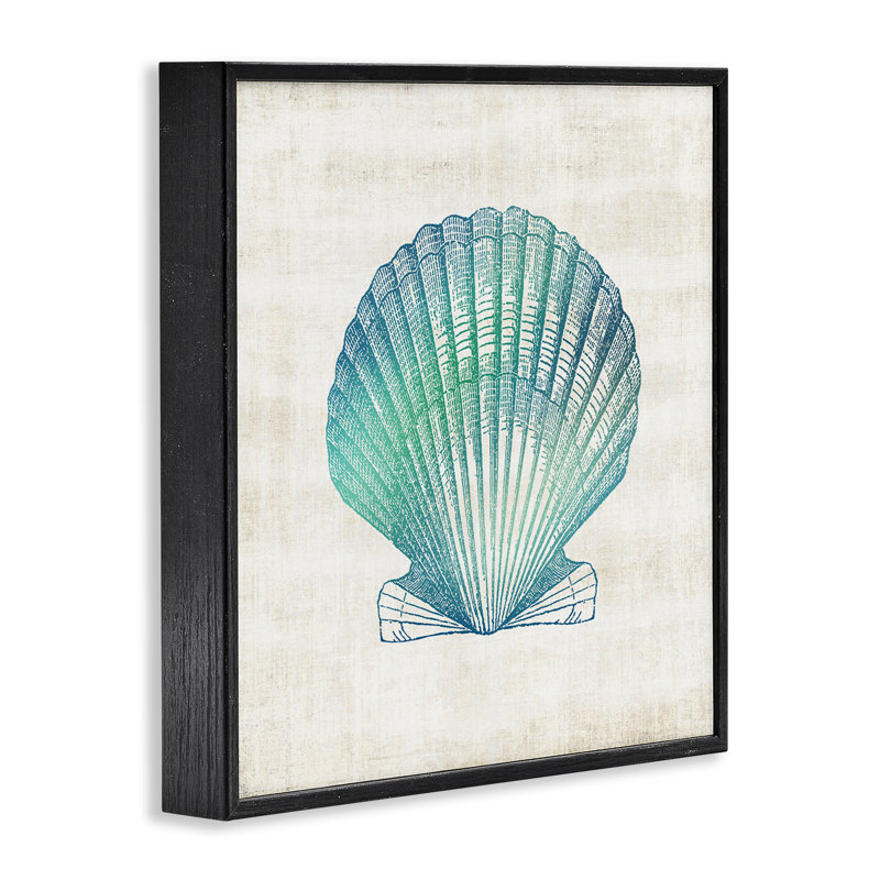 Dégradé de coquillage, estampe numérique, conception par Susan Arnot, H 17 po x l 17 po, Giclée encadrée noir minuit
