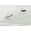 Eden 12'' Cat Perch-1499645672