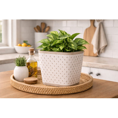 Jardinière à neutrons 6 po