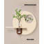 Sculpture murale circulaire ajourée avec vase pour un décor minimaliste de salle à manger.-1085385996-1085386098