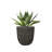 12.4" Vintage Black Ribbed Planter, Cement-Look Tapered Egg-Shaped Plastic Pot with Drainage, Large Indoor/Outdoor Flower Pot for Garden & Patio, 10.5" Opening-124654137-124654138