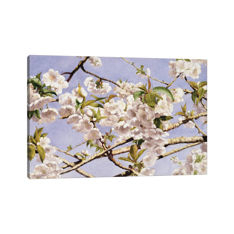Apple Blossoms 1 Piece Wrapped Canvas Painting, 66.04 cm H x 45.72 cm W x 1.91 cm D
