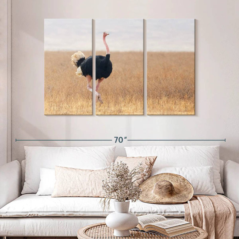 Striding Male Ostrich, 32" H x 50" W